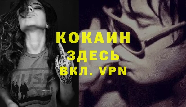 дурь Арсеньев